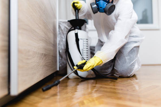 Best Wasp Removal Services  in Hardin, MT