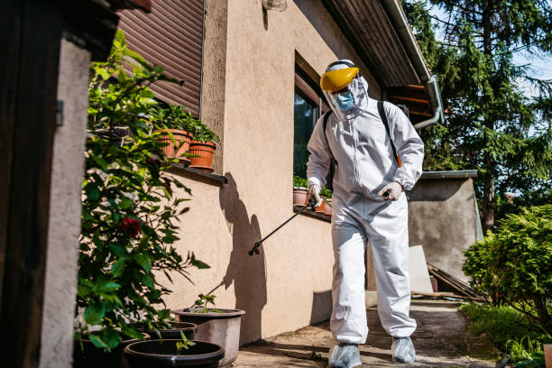 Best Flea Control Services  in Hardin, MT