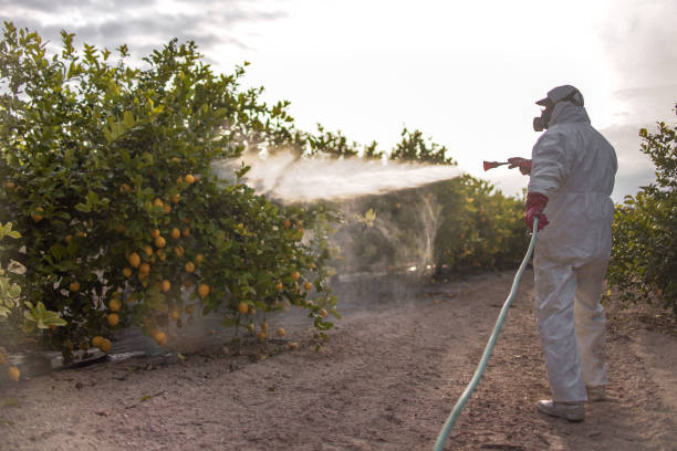 Best Mosquito Control Services  in Hardin, MT