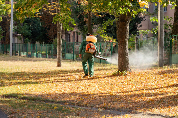 Trusted Hardin, MT Pest Control Experts