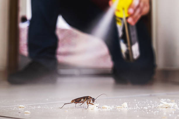 Best Best Pest Control Companies  in Hardin, MT