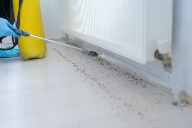 Best Mosquito Control Services  in Hardin, MT
