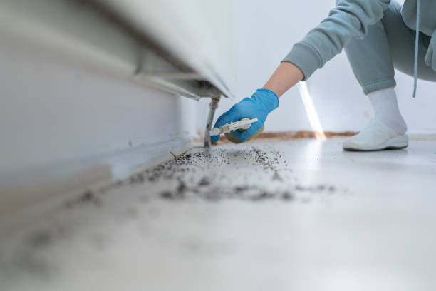 Pest Control for Restaurants in Hardin, MT