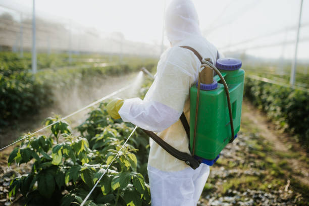 Best Emergency Pest Control  in Hardin, MT